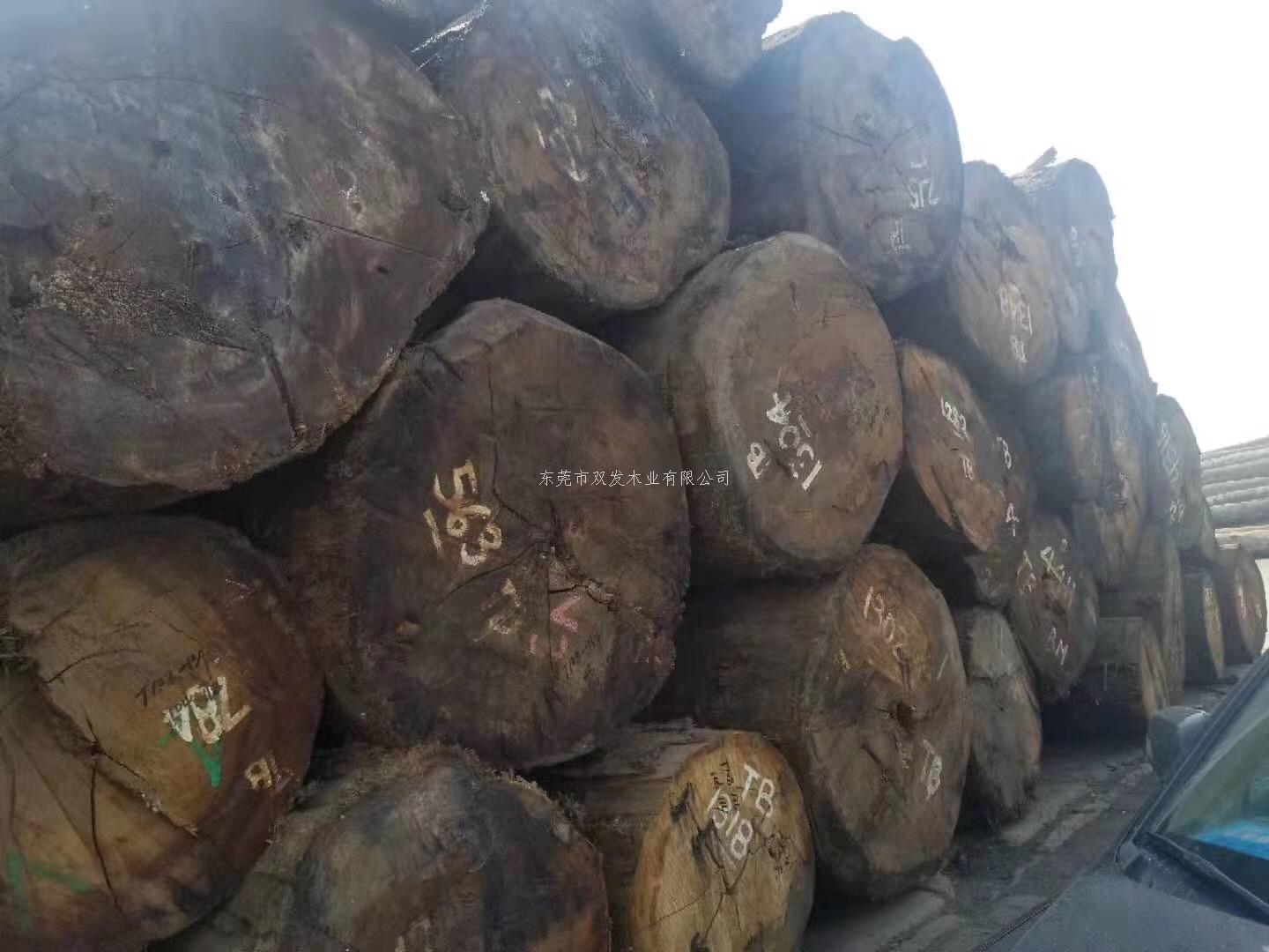 迎7月家具展，雙發(fā)木業(yè)原木加工進行中。。